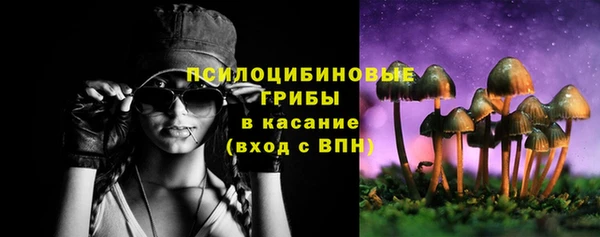 apvp Баксан
