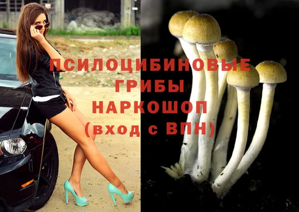 мескалин Балахна