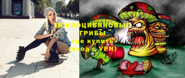 дживик Нефтекумск